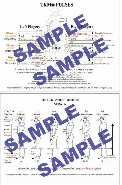 sample 5